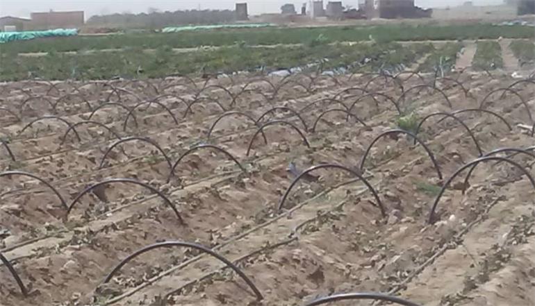 Development of Agricultural Water Management