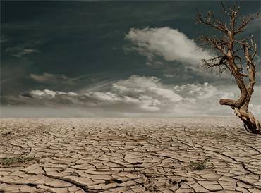 Climate change Impact and Risks