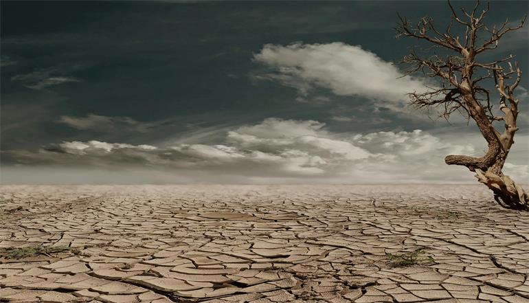 Climate change Impact and Risks